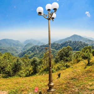 Cột đèn san vườn Banian tay chùm CH11 - 4 bóng được sơn màu đồng